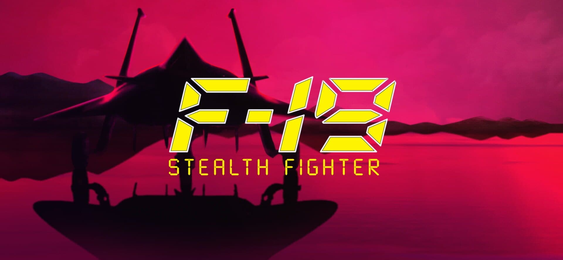 Stealth Fighter