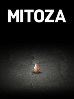 Mitoza