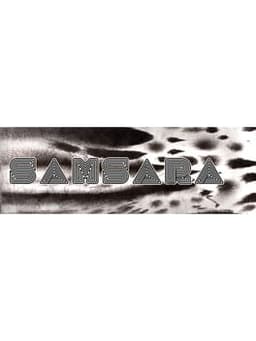 Samsara
