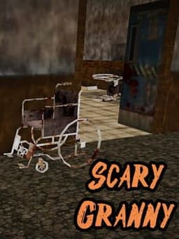 Scary Granny