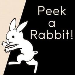 Peek a Rabbit!