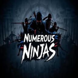 Numerous Ninjas