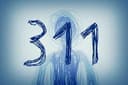 311
