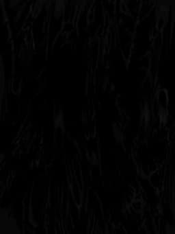 TNTPhobia