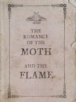 The Romance of the Moth and the Flame