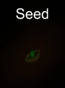 Seed