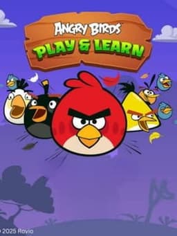 Angry Birds: Play & Learn