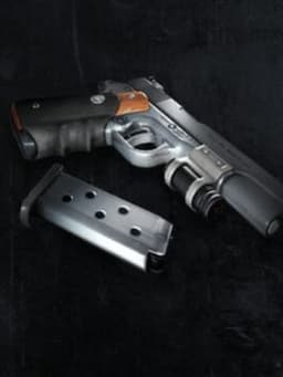 Tomb Raider: Silverballer